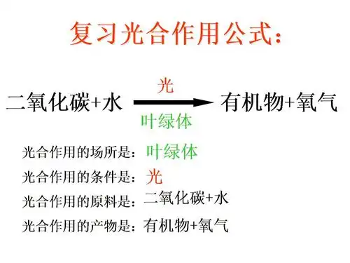 生物人教版初中一年级上册 _光合作用的实验.ppt