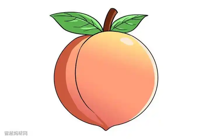 桃子简笔画卡通带颜色