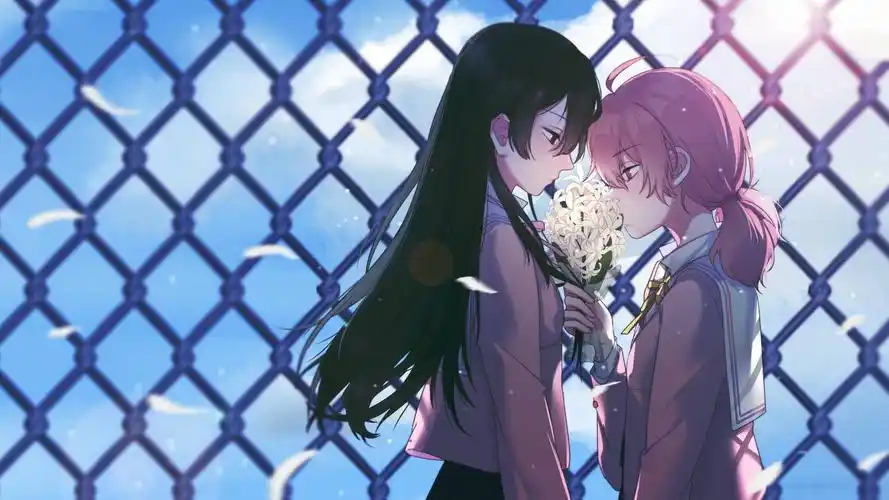 橘里橘气歌曲精选推荐第1期