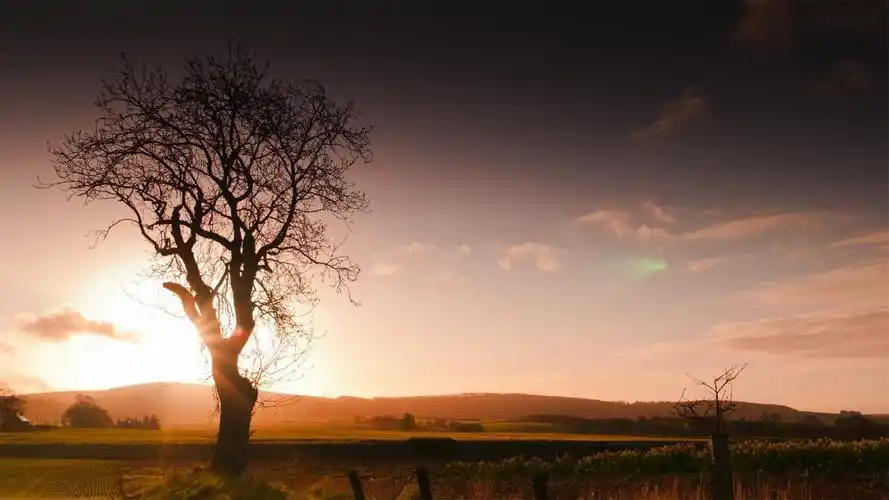 唯美的风光秋意浓浓高清电脑桌面主题壁纸图片4