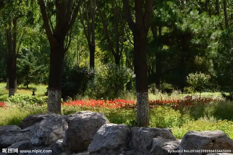 树木摄影图__人文景观_旅游摄影_摄影图库_昵图网nipic.com