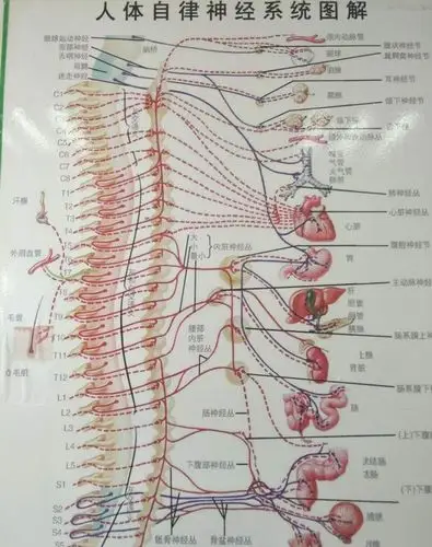 做磁共振,颈椎3-4节突出还压迫到了神经,该怎么办?