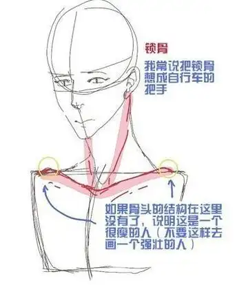 动漫人物上半身怎么画?人物上半身绘画技巧,小白必看!