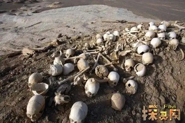 罗布泊恐怖生物照片1978食人蜥蜴事件被核武器消灭