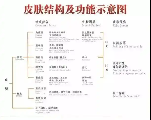 婴幼儿为什么会有湿疹?湿疹的专业体系在这里,拿走不谢