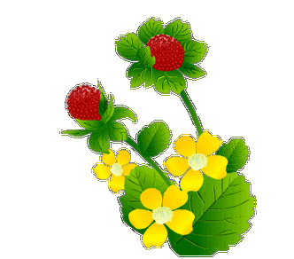 gif花草树木动态图(二)