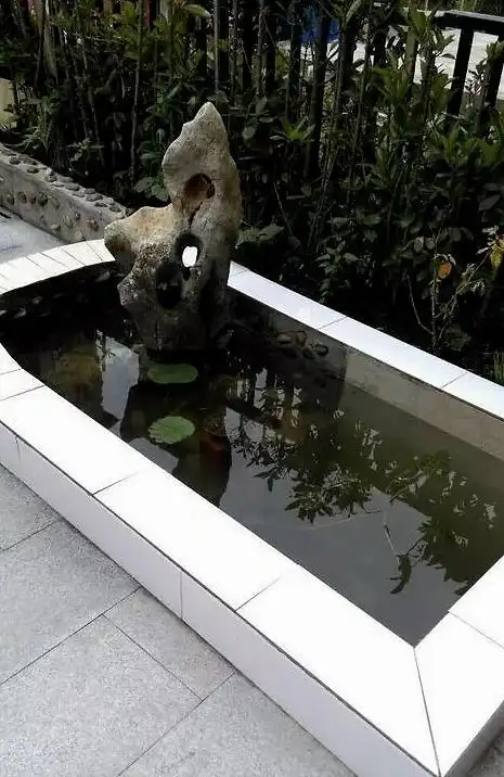 这个院子简约但鱼池不简单——辣妈改造庭院__凤凰网