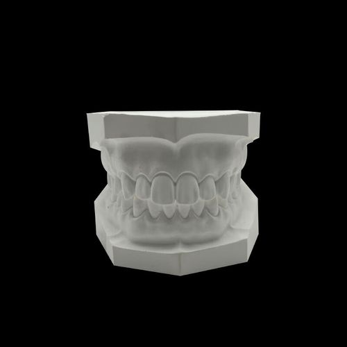 假牙标准硬石膏模型有牙无牙全口28颗牙齿模型口腔教学练习 白色全口