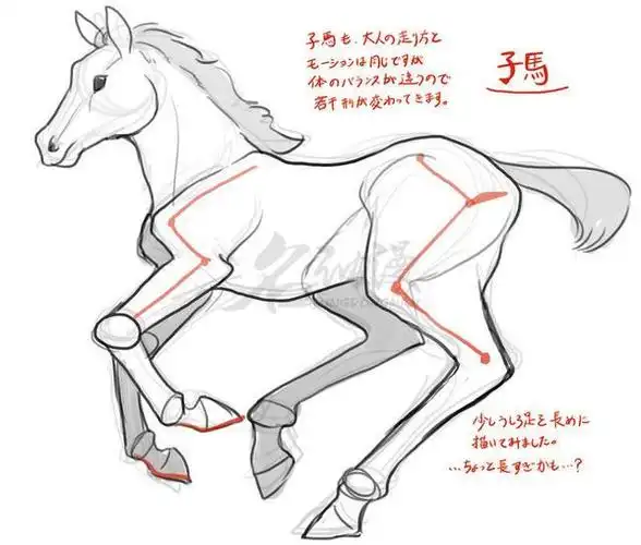 马怎么画教你画一幅奔腾的骏马