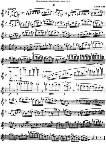 斯勒新老风格长笛练习重奏曲(第三部分)(no.48)