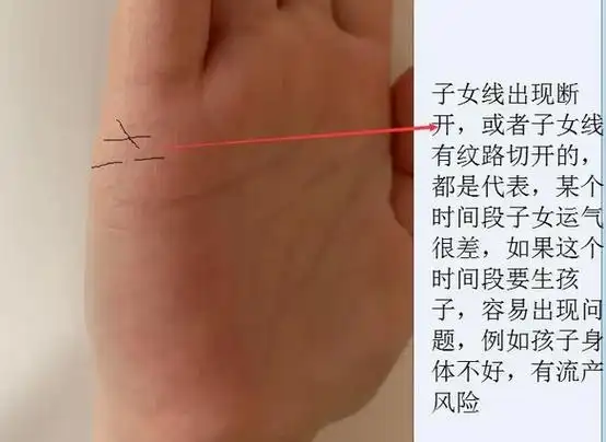 看手相预测老师从手相看你与子女缘分情况手相