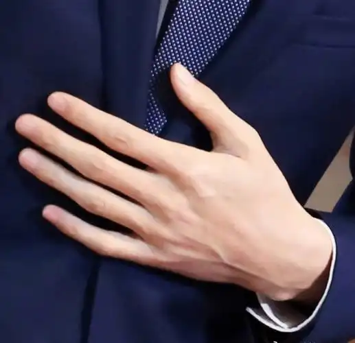 看了两天猜手楼总觉得都太秀气了