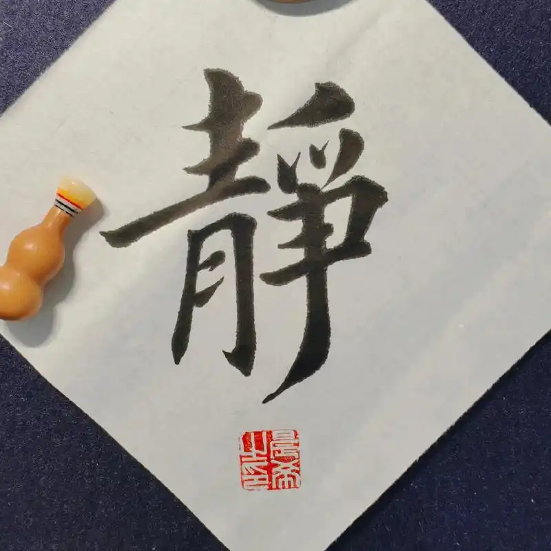 静 这样写跟常规写哪样好看一些?#田英章楷书 #写字是一种生 - 抖音