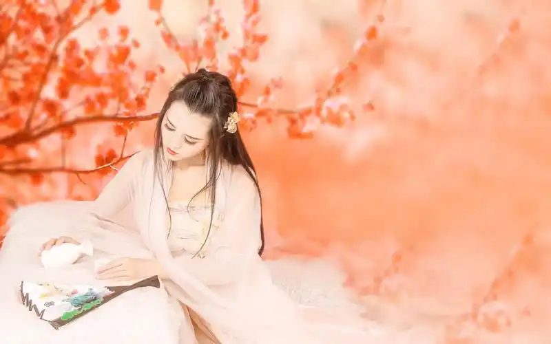 美艳古风美女高清桌面壁纸高清大图预览1920×1200_美女壁纸下载_美桌