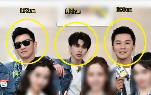 当二人一起背过身时,谁在撒谎一目了然|蔡徐坤|郑恺|身高_新浪新闻