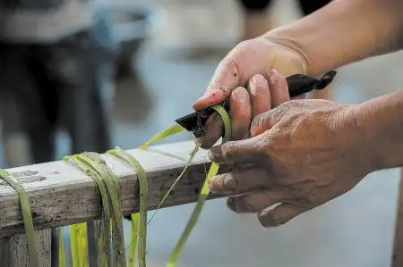 ↑打麻分为打,剥,洗,熏,刮(割)五道工序,打麻之后,得到苎麻皮和