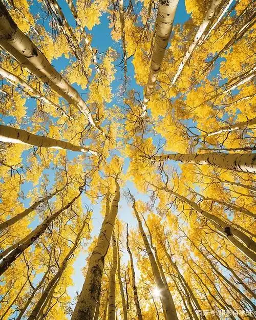 风光咋拍美,这9个走到哪拍到哪的万能技巧,摄影照片自然又好看