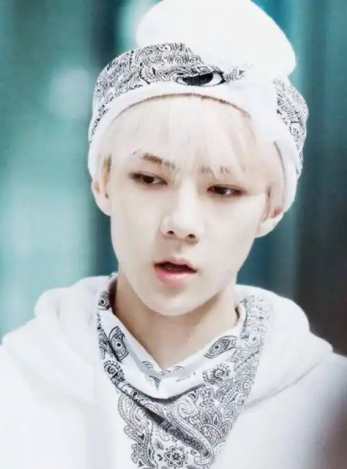 银白色头,如精灵般