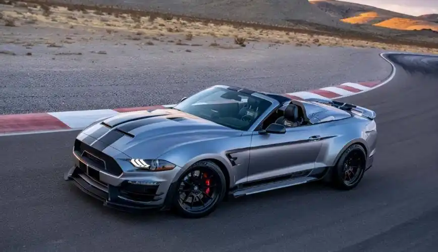 号称地狱猫杀手新野马蝰蛇曝光毒蛇外形35秒破百