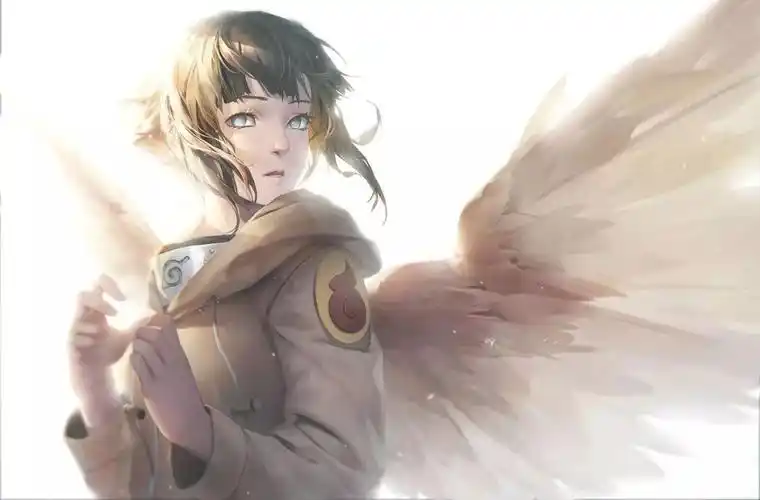 粉丝壁纸日向雏田