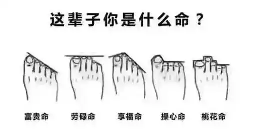 也指这个人(或有生生命体)的命运是天生的好,家财丰富,与含着金汤匙