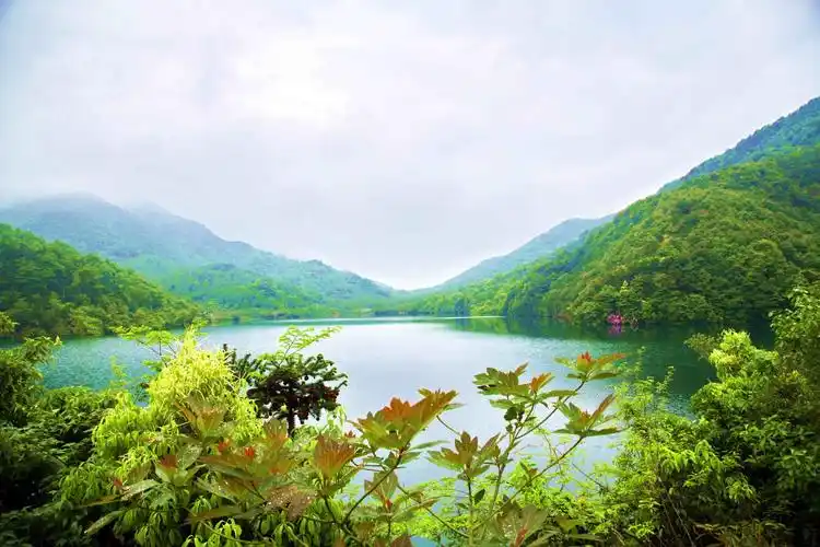 跑出柯桥加速度(二)养生平水 青山绿水
