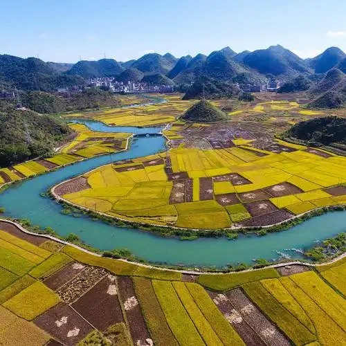 美丽中国醉美金秋丰收图