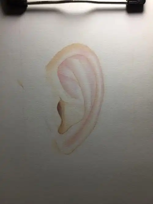 纯彩铅手绘真人耳朵,用到辉柏嘉水溶性,油性彩铅