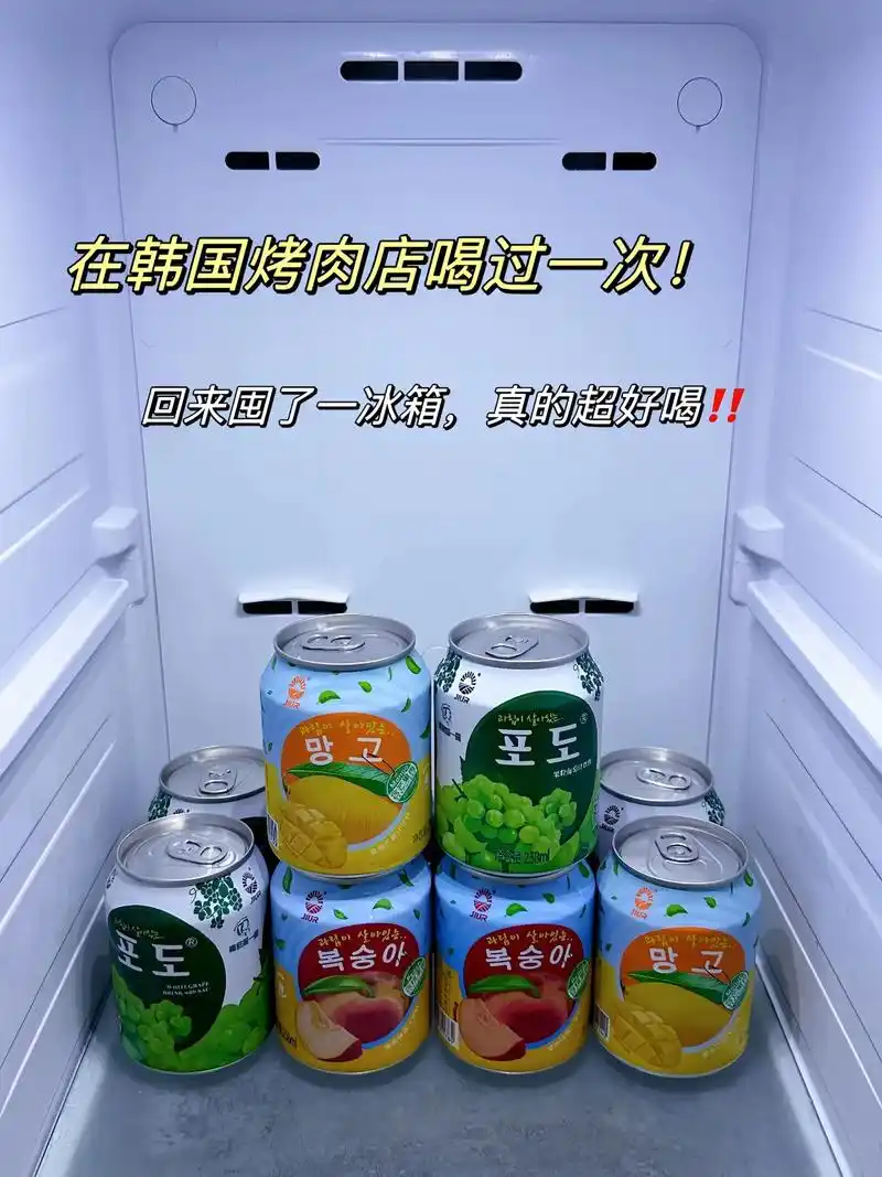 好喝的九日果肉果汁饮料!