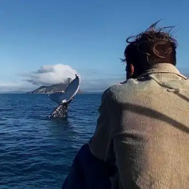 好看的男生看风景背影高清男头 有意境的伤感孤独成熟男生头像_男生