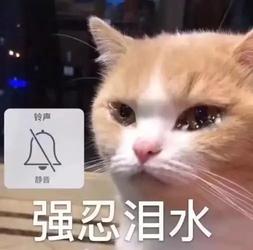 的查,真的崩不住了啊,为什么牙会坏掉啊#牙齿  #牙齿保护计划  #牙疼