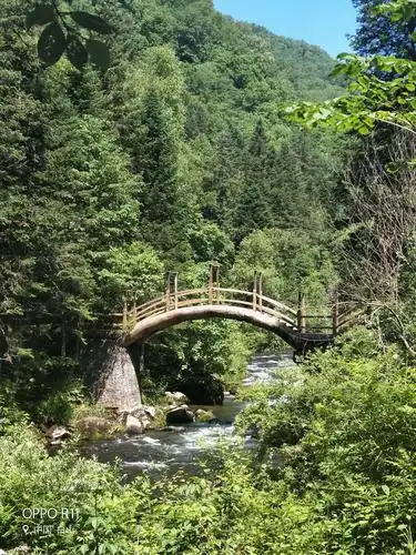 吉林长白山十五道沟望天鹅风光