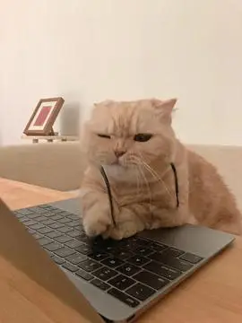 求一个头像 猫在电脑前摘眼镜(应该是撑眼镜)|已经找到