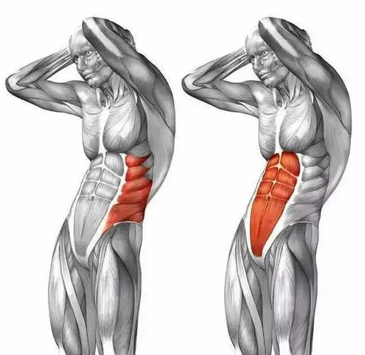 练马甲线最有效的动作是什么