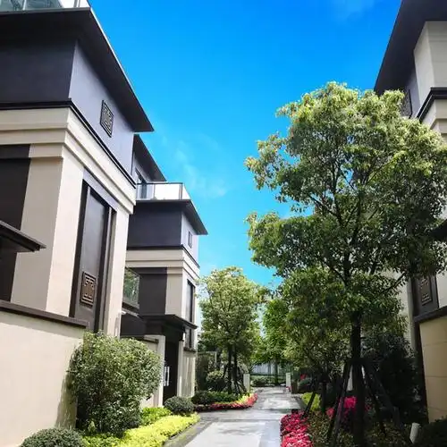 河源龙光城别墅