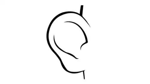 然后描绘出耳朵里面的耳廓首先线条勾勒出耳朵的外轮廓