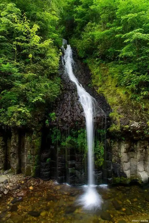 爱上大自然的一抹绿,轻松玩转森林秘境,打卡8处国内最美森林