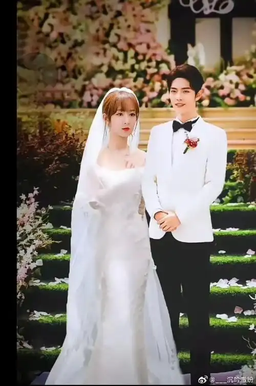 《如果肖战杨紫结婚啦会怎么样?》