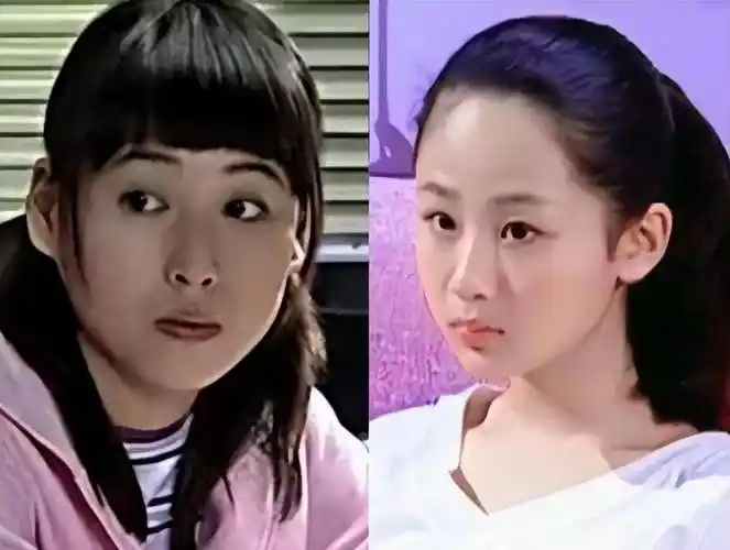 有儿女3》开播后,观众们再也看不到杨紫了,取而代之的是一个叫宁丹琳