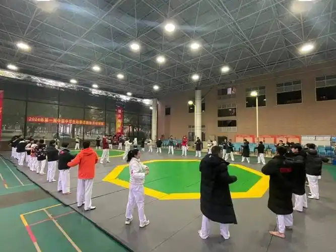 喜讯:临西实验中学荣获中国中学生体育协会"优秀会员学校奖"_跆拳道