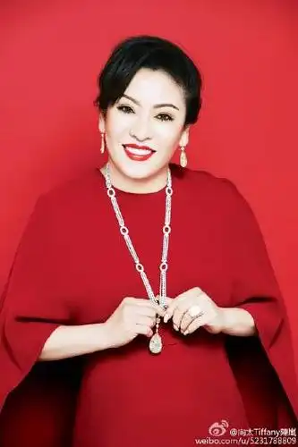 向太tiffany陈岚:       决定你穿什么衣裳的 不是你的