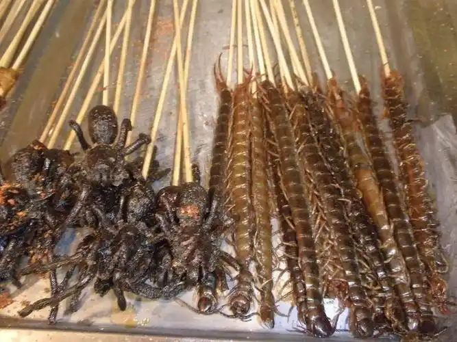 在北京看到炸蝎子