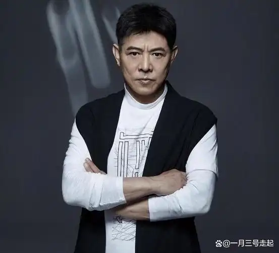 李连杰,这位国内武术界的传奇人物,凭借经典角色如"黄飞鸿"等,一度
