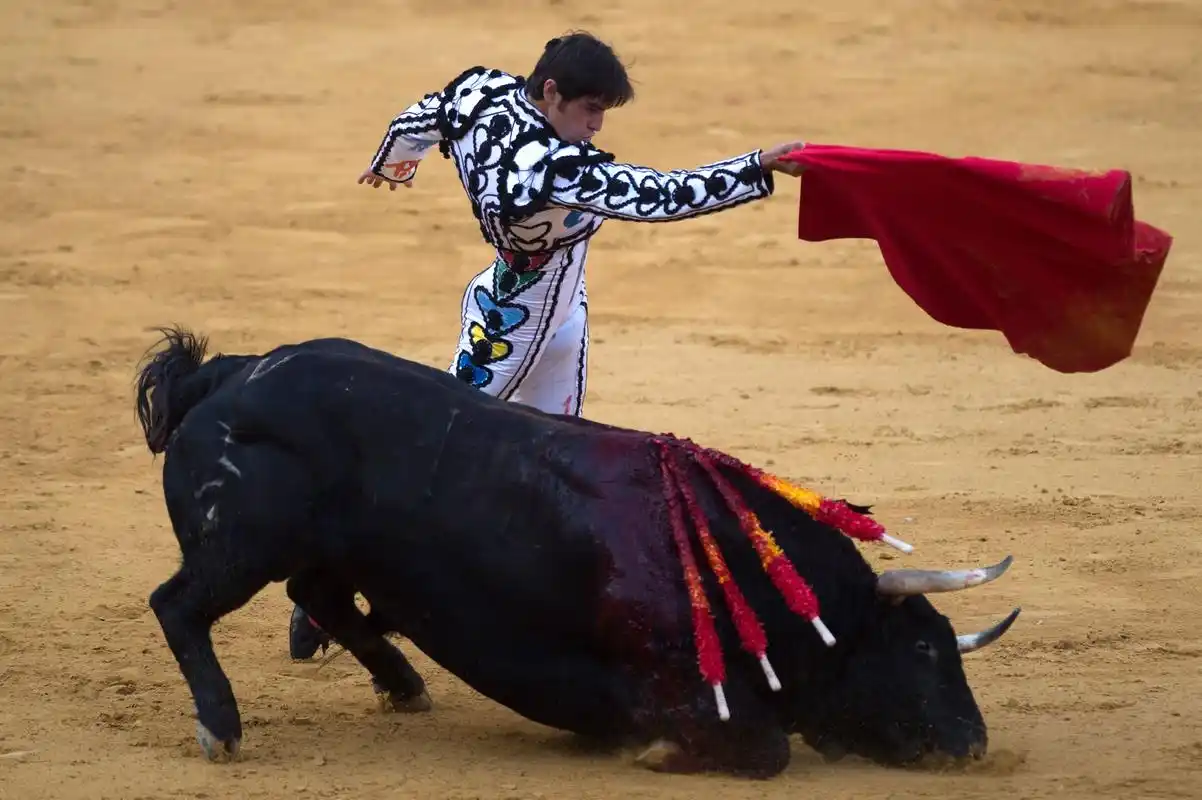 西班牙斗牛表演(13)