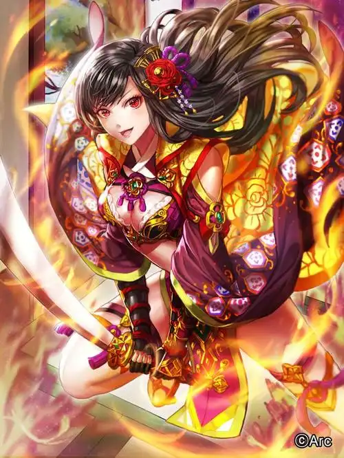 sengoku kishin valkyrie box (hotpppink) high res