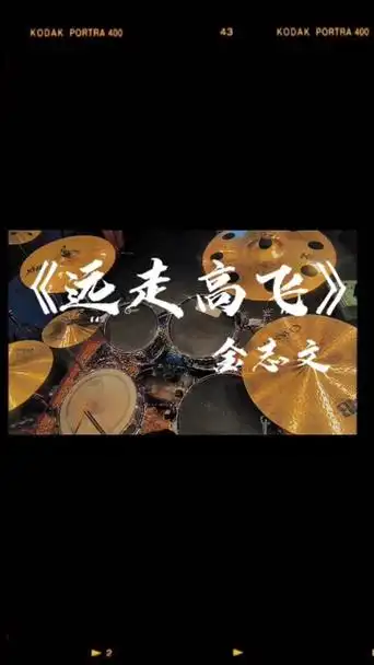 《远走高飞》金志文!07