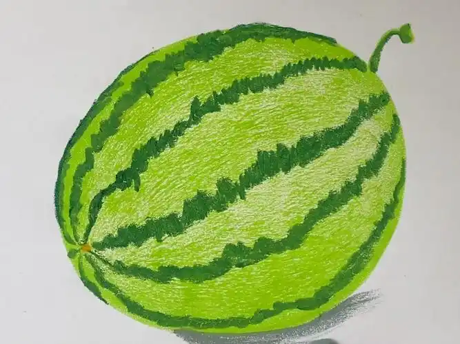 教你用油画棒轻松画出西瓜来,一学就会噢