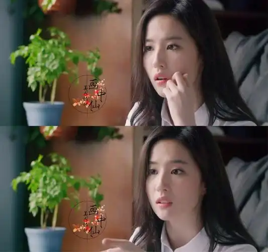 第三种爱情邹雨――刘亦菲