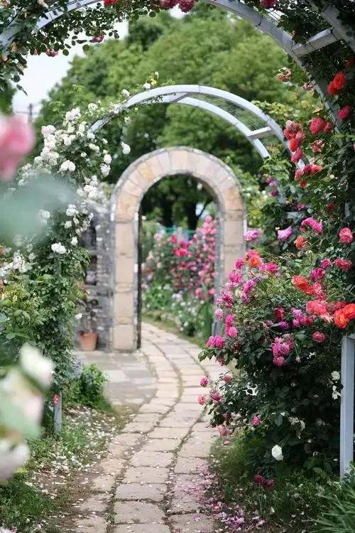 无锡网红多多花园随拍