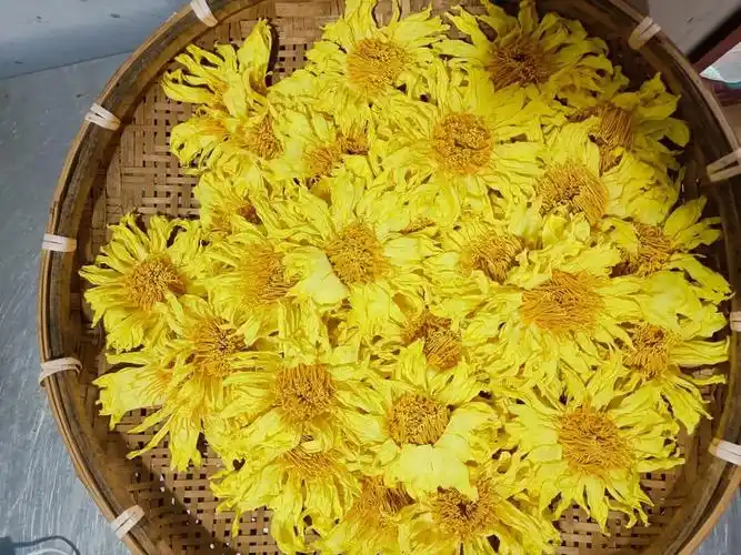 现货九品香水莲干花 黄色九品香水莲花茶 金莲花干花